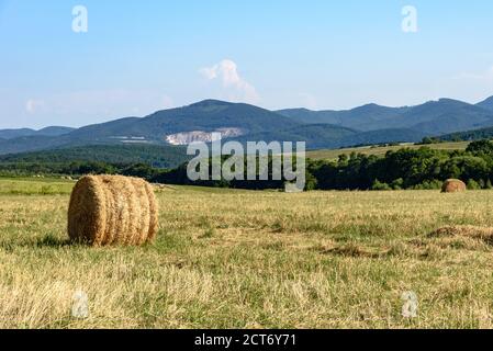 Heuballen auf einem Feld in Fuzer, Nordungarn Stockfoto