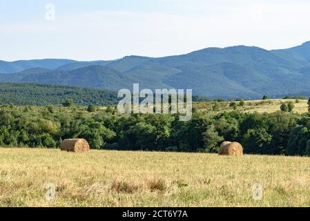 Heuballen auf einem Feld in Fuzer, Nordungarn Stockfoto