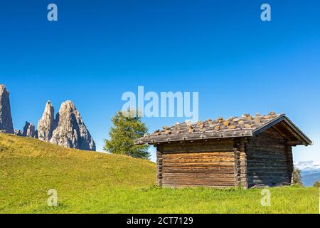 Auf der Seiser Alm, Seiser Alm, mit Blick auf Schlern, Schlern, Südtirol Stockfoto