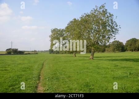 Thames Path in der Nähe von Kemble, Gloucestershire Blick auf den Stein, der die Quelle der Themse markiert Stockfoto