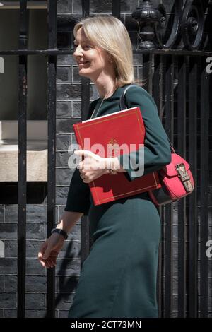 Liz Truss MP, Chief Secretary to the Treasury, Politiker der britischen Konservativen Partei, Westminster, Großbritannien Stockfoto