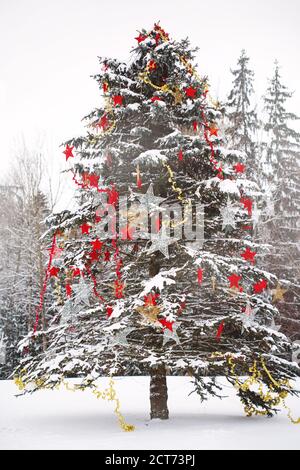 Weihnachten verschneiten Tannenbaum mit Sternen im Freien im Winter geschmückt Wald Stockfoto