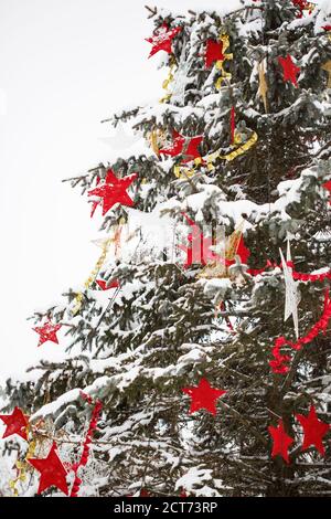 Weihnachten verschneiten Tannenbaum mit Sternen im Freien im Winter geschmückt Wald Stockfoto