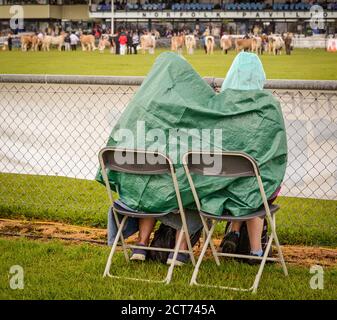 Besucher, die sich vor dem Regen im Süden Englands schützen Anzeigen Stockfoto