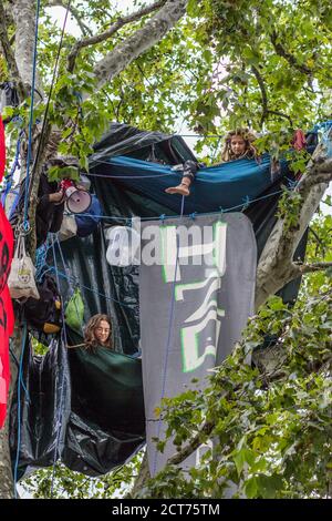 Parliament Square, London. 2. September 2020: Drei „Baumschützer“ sitzen auf den Ästen eines Baumes, während sie mit der Menge sprechen, die sich auf dem Platz versammelt. Stockfoto