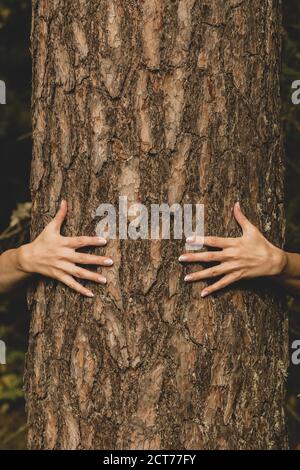 Mensch und Natur Konzept. Frau Hände umarmt Kiefer in dunklem Laub Hintergrund mit Kopie Raum Stockfoto