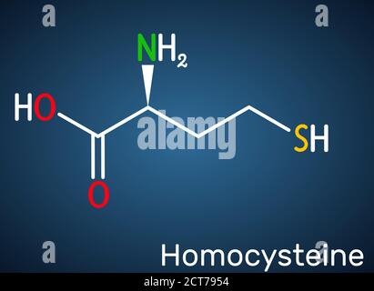 Homocystein-Biomarker-Molekül. Es ist eine schwefelhaltige, nicht proteinogene Aminosäure. Strukturelle chemische Formel auf dem dunkelblauen Hintergrund. Vect Stock Vektor