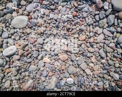 Kieselsteinstruktur. Bunte Steine auf dem Boden. Draufsicht auf Naturkies am Sommerstrand. Stockfoto