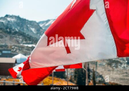 Winkende kanadische Flaggen in Whistler, British Columbia. Stockfoto