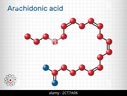 Arachidonsäure, AA, ARA-Molekül. Es ist ungesättigte Omega-6-Fettsäure, ist Vorläufer in der Biosynthese von Prostaglandinen, Thromboxanen, Leukotrienen. Stock Vektor