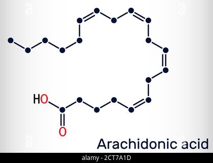 Arachidonsäure, AA, ARA-Molekül. Es ist ungesättigte Omega-6-Fettsäure, ist Vorläufer in der Biosynthese von Prostaglandinen, Thromboxanen, Leukotrienen. Stock Vektor