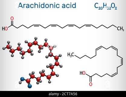 Arachidonsäure, AA, ARA-Molekül. Es ist ungesättigte Omega-6-Fettsäure, ist Vorläufer in der Biosynthese von Prostaglandinen, Thromboxanen, Leukotrienen. Stock Vektor