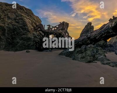 Driftwood am Strand zwischen großen Felsen bei Sonnenaufgang Stockfoto