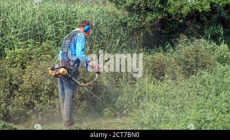 Älterer Mann mäht das Gras mit einem Benzinbürstenschneider. Mann mit Arbeitskleidung, schalldichten Ohrenschützern, Handschuhen und Schutzbrille Stockfoto