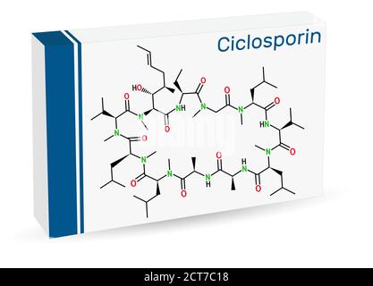 Ciclosporin, Cyclosporin, Cyclosporin-Molekül. Es hat immunmodulatorische Eigenschaften, verhindern Organtransplantationsabstoßung, behandeln entzündliche, autoimmun Stock Vektor