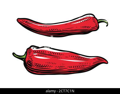 Rote Paprika. Kulinarische Würze, Lebensmittel Vektor Illustration Stock Vektor