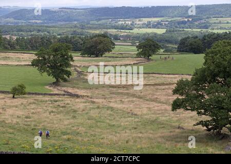 Neun Steine Schließen Robin Hood's Stride Peak District Derbyshire UK Stockfoto