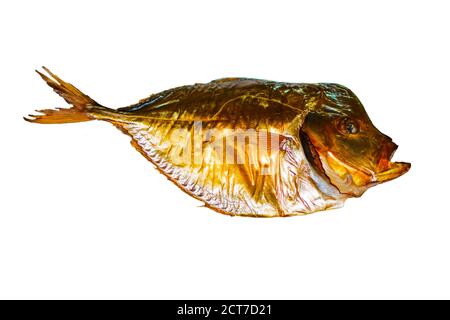 Geräucherter kalter Spomer Fisch isoliert auf weißem Hintergrund, Draufsicht, Stockfoto