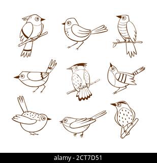 Handgezeichnete Vögel in verschiedenen Posen, isoliert auf weißem Hintergrund. Vektorgrafik. Stock Vektor