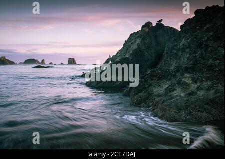 Möwen sitzen auf Felsen im Meer während des wunderschönen Sonnenuntergangs Stockfoto