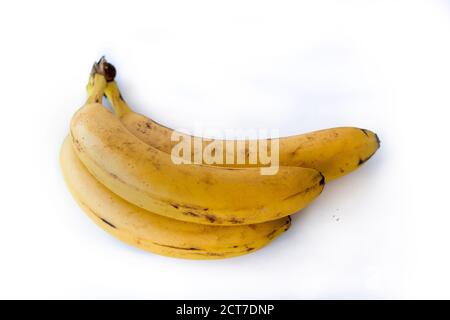 Drei ecuatorianische Bananen auf weißem Hintergrund Stockfoto