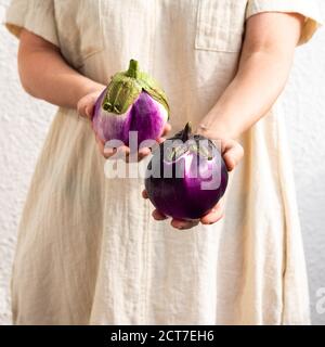 Frau hält lila Runde Aubergine in den Händen, frisches Bio gesundes Gemüse Stockfoto