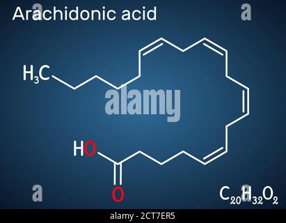 Arachidonsäure, AA, ARA-Molekül. Es ist ungesättigte Omega-6-Fettsäure, ist Vorläufer in der Biosynthese von Prostaglandinen, Thromboxanen, Leukotrienen. Stock Vektor