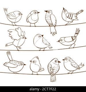 Sammlung von niedlichen kleinen Vögeln auf einer Schnur gelegt. Handgezeichnete kleine Vögel. Vektorgrafik. Stock Vektor