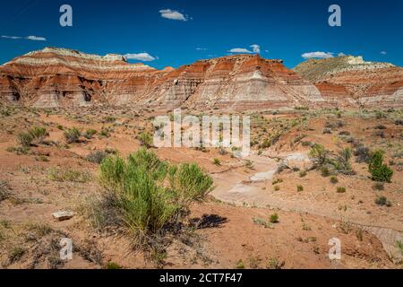 Der Toadhocker Trail führt zu einem Gebiet von Hoodoos und Ausgewogene Felsformationen durch Jahrhunderte der Erosion und ist geschaffen Teil der Grand Staircase-Escala Stockfoto