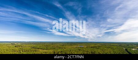 Atemberaubende Luftaufnahme von endlosen skandinavischen grünen Pinienwäldern bis zum Horizont, blauer Himmel mit Zirruswolken. Sonniger Sommertag, typisch NOR Stockfoto