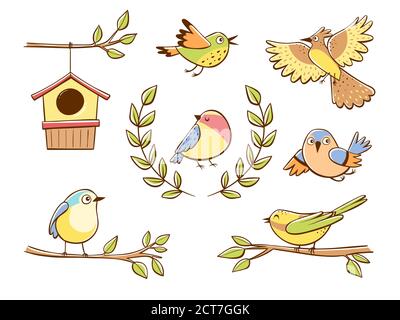 Bunte niedliche Vogel-Icons und Dekorationselemente, isoliert auf weißem Hintergrund. Handgezeichnete Vektorgrafik. Stock Vektor