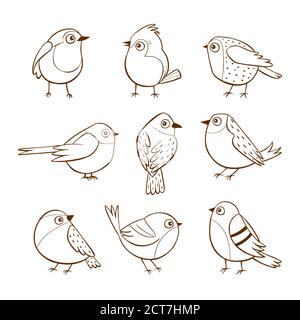 Handgezeichnete niedliche kleine Vögel in verschiedenen Posen, isoliert auf weißem Hintergrund. Vektorgrafik. Stock Vektor