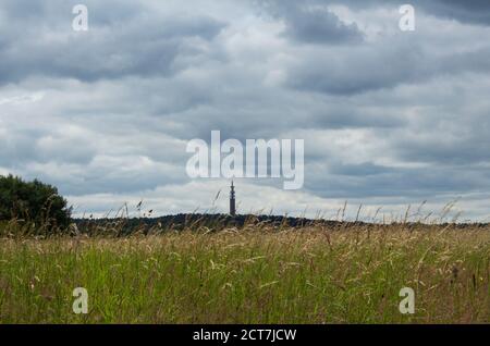 Ein Blick auf den Pye Green Tower, Cannock Chase aus der Ferne mit federleichten Gräsern im Vordergrund. Stockfoto