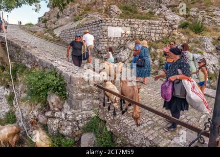 Hirtin mit einer Herde von Goaden und Schiffen in der Nähe der Ruinen der Burg Rozafa in Shkoder, Albanien. Shkoder, Albanien - Juli 19 2018. Stockfoto