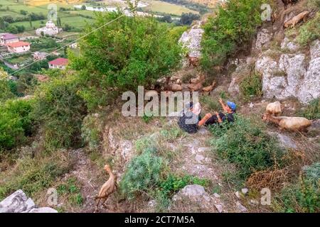 Hirtin mit einer Herde von Goaden und Schiffen in der Nähe der Ruinen der Burg Rozafa in Shkoder, Albanien. Shkoder, Albanien - Juli 19 2018. Stockfoto