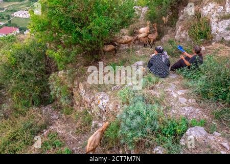 Hirtin mit einer Herde von Goaden und Schiffen in der Nähe der Ruinen der Burg Rozafa in Shkoder, Albanien. Shkoder, Albanien - Juli 19 2018. Stockfoto