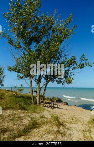 Picknicktisch am Ufer des Lake Huron Pinery Provincial Park. Grand Bend Ontario Kanada. Stockfoto