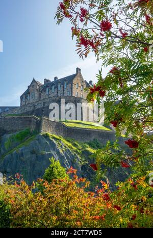 Edinburgh Castle, Mit Fokus Auf Bäume In Princes Street Gardens Im Vordergrund Stockfoto
