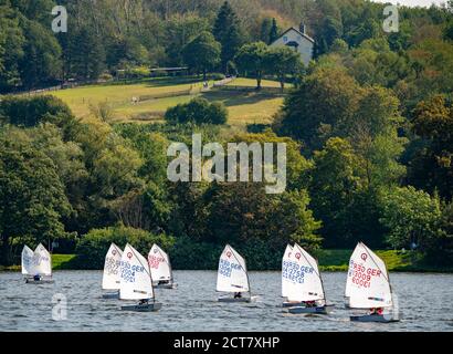 Baldeneysee in Essen, Stausee des Ruhrgebiets, Segelboote, Essener Segelwoche Segelregatta, Essen, NRW, Deutschland Stockfoto