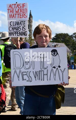 Schüler und Lehrer protestieren im Rahmen der globalen Bewegung "fridays for Future" in Bantry, Wolfe Tone Square, 20. September 2019 für Klimagerechtigkeit Stockfoto