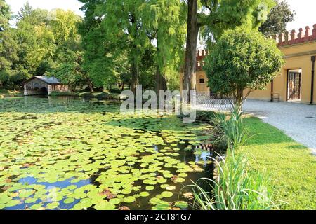 Park Teich, Villa Parco Bolasco, Historischer Park, Castelfranco Veneto Stockfoto