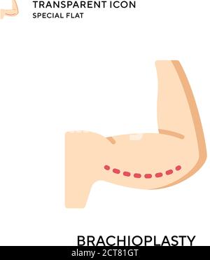 Vektorsymbol für Brachioplastik. Flache Illustration. Vektor EPS 10. Stock Vektor