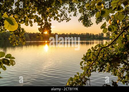 Das Naturschutzgebiet Kirchheller Heide, der Heidesee, bei Bottrop, NRW, Deutschland Stockfoto