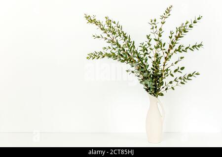 Zweige von Eukalyptus in Vase auf Tisch auf hellem Hintergrund. Inneneinrichtung. Blog, Website oder Social Media Konzept Stockfoto