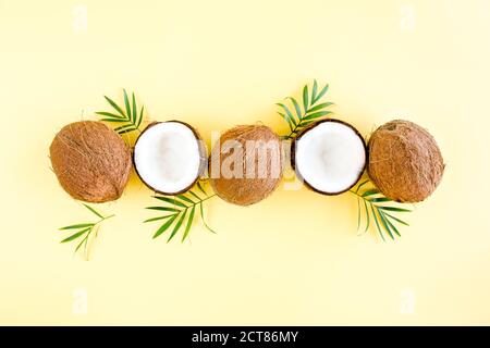 Muster mit Kokosnüssen und tropischen Palmenblättern auf gelbem Hintergrund. Tropischer abstrakter Hintergrund. Flach liegend, Draufsicht. Stockfoto
