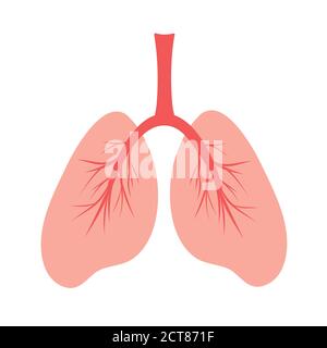 Menschliche Lunge, schematische Farbdarstellung der menschlichen Lunge mit Blutgefäßen. Anatomische Struktur der menschlichen inneren Organe Stock Vektor