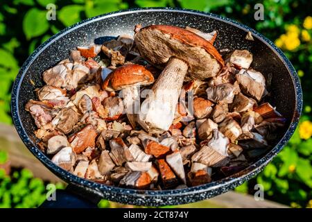 Orange Kappe Boletus in der Pfanne Stockfoto