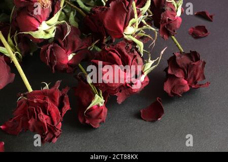 Getrocknete rote Rosen auf schwarzem Tisch. Blick von oben. Nahaufnahme Stockfoto