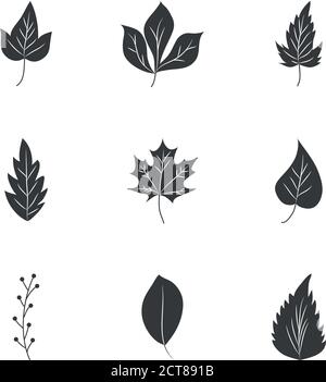 Ahornblatt und Herbstblätter Symbol auf weißem Hintergrund gesetzt, Silhouette Stil, Vektor-Illustration Stock Vektor