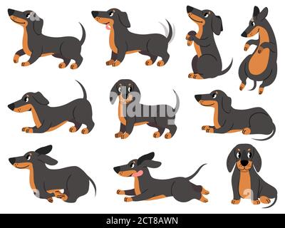 Dackel. Niedliche Hunde Charaktere verschiedene Posen Jagd Rasse, Design für Drucke, Textil oder Karte, liebenswert Dackel Cartoon-Vektor-Set. Dackel-Pose Stock Vektor